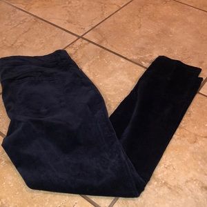 Velvety Rockstar Skinny Pants